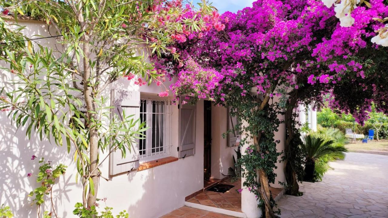 Villa Provencale A Sainte Maxime, Golf De Saint Tropez エクステリア 写真