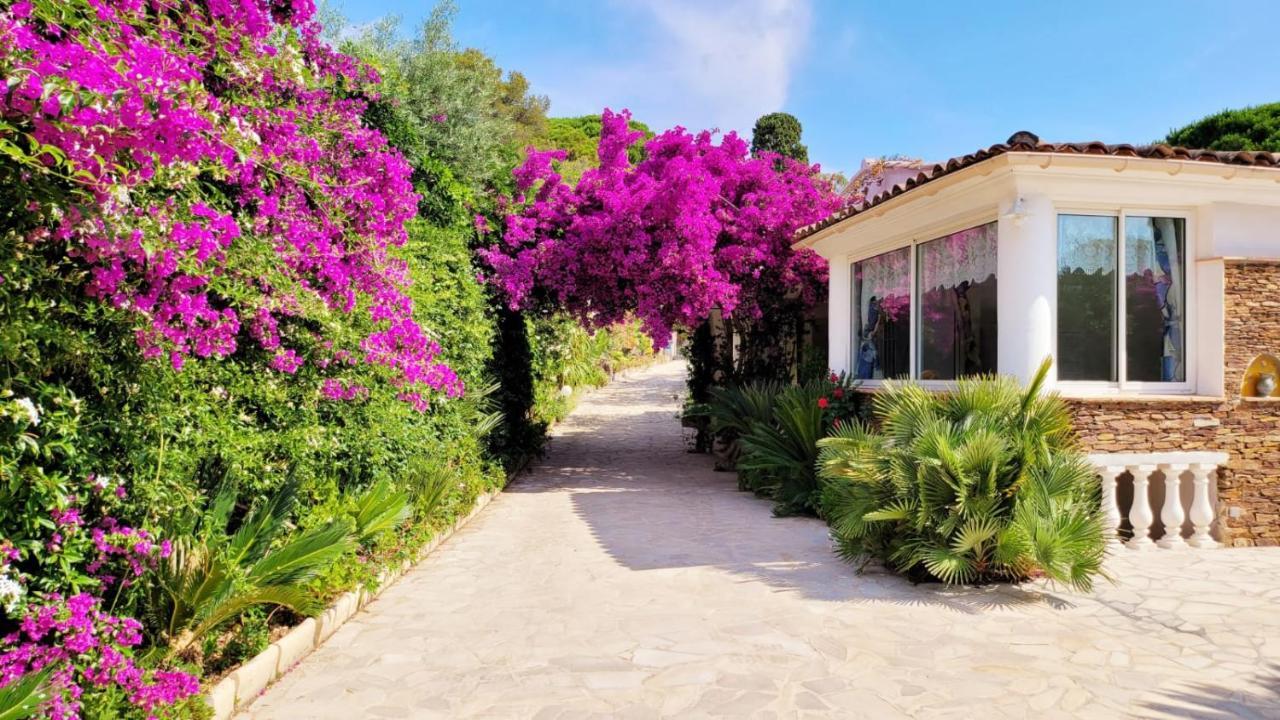 Villa Provencale A Sainte Maxime, Golf De Saint Tropez エクステリア 写真