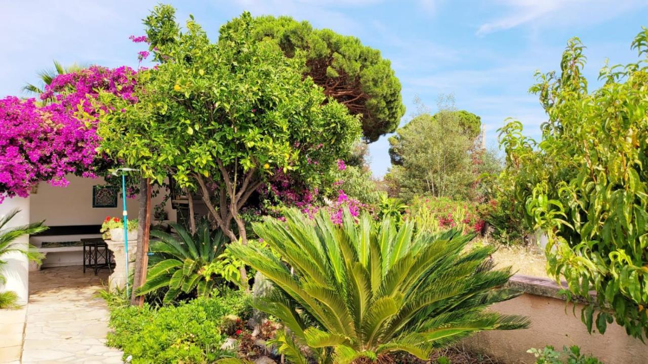 Villa Provencale A Sainte Maxime, Golf De Saint Tropez エクステリア 写真
