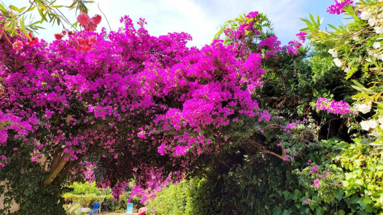 Villa Provencale A Sainte Maxime, Golf De Saint Tropez エクステリア 写真