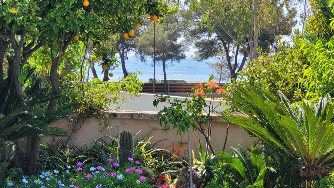 Villa Provencale A Sainte Maxime, Golf De Saint Tropez エクステリア 写真