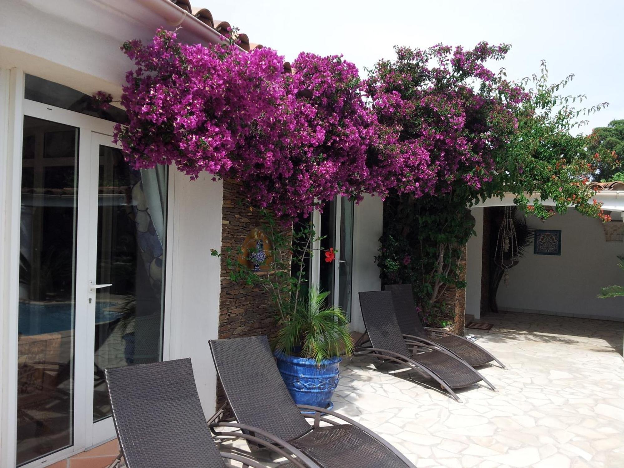 Villa Provencale A Sainte Maxime, Golf De Saint Tropez エクステリア 写真