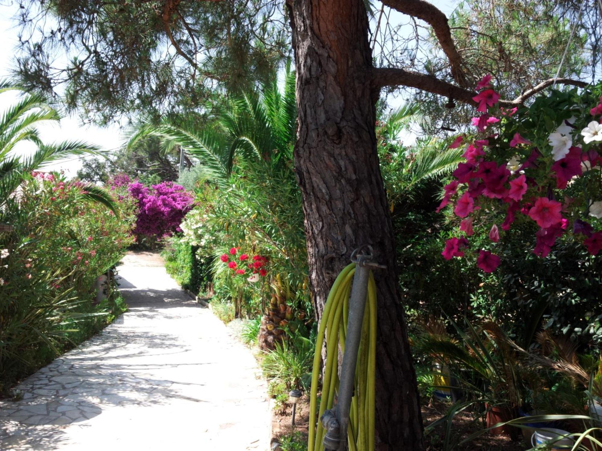 Villa Provencale A Sainte Maxime, Golf De Saint Tropez エクステリア 写真