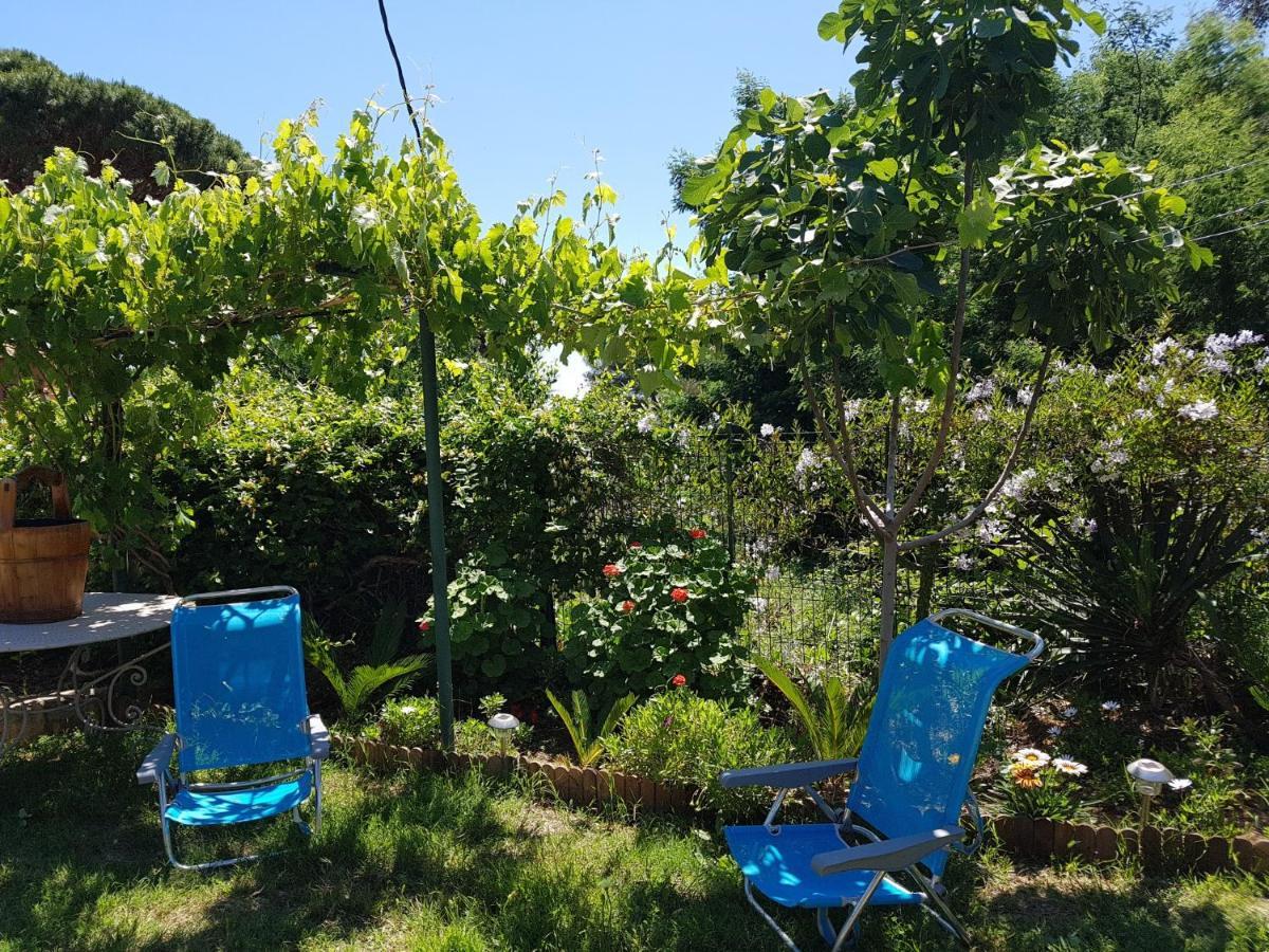 Villa Provencale A Sainte Maxime, Golf De Saint Tropez エクステリア 写真